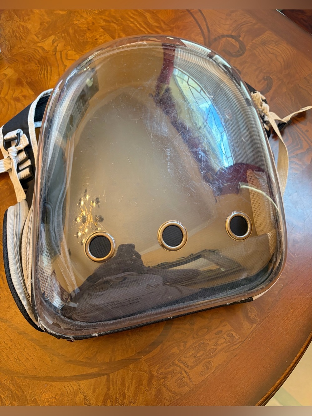 Clear Bubble Pet Carrier Backpack - Black Trim